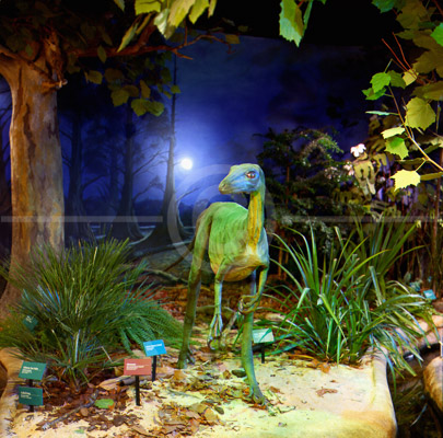 HD_SL-24 - Display at Academy of Natural Sciences in Philadelphia, PA.