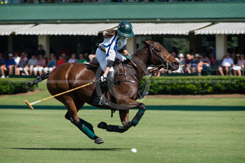 HD_P-22 - Paige Boone of McLin Burnsed team sets up a shot on goal at a Polo match at the Villages Polo Club on October 25, 2015 vs Morgan Stanley.