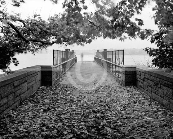 HD_STBW-27 - Pedestiran bridge across Cross Island Parkway at Crosheron Park in Bayside, Queens, New York.