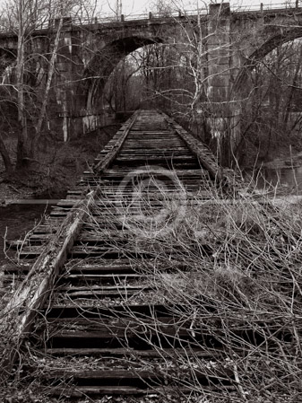 HD_STBW-29 - Abandoned Railroad Tressle-Octoraro Creek, Cecil County, Maryland