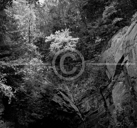 HD_STBW-41 - Fall Folliage over north portal of St Mary's Rock Tunnel along the Skyline Drive in Shenendoah National Park. HD_STBW-41 - Fall Folliage over north portal of St Mary's Rock Tunnel along the Skyline Drive in Shenendoah National Park.
