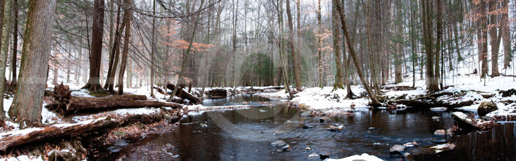 HD_STC-101 - Creek in Catoctin Park in Frederick County, Maryland on a snowy day in January. HD_STC-101 - Creek in Catoctin Park in Frederick County, Maryland on a snowy day in January.