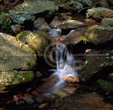 HD_STC-34 - Small Stream next to Dark Hollow Falls Trail in Shenendoah National Park in Virginia
