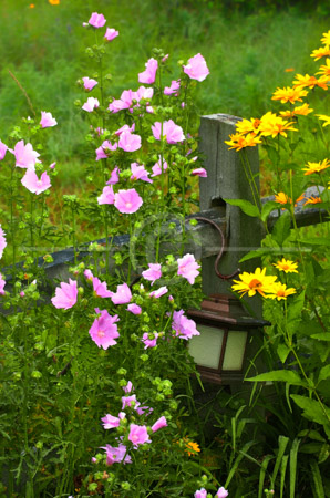 HD_STC-55 - Flowers and old lantern against picket fence on grounds of B&B near Warrensburg, NY