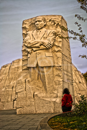 HD_STC-75 - Early morning visitor looking at statue of Dr. King at the MLK Memorial overlooking the Tidal Basin in Washington, DC.